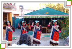 harvest festival ladakh