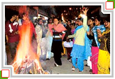 Lohri Festival Kashmir, Makar Sankranti Festival Jammu Kashmir