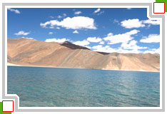 Pangong Lake leh ladakh india