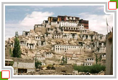 Shey Palace Leh Ladakh tours, Monastery Tours Leh Ladakh India