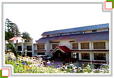 3 Star Hotel Subhash Palace Kashmir, Kashmir Hotel Subhash Palace