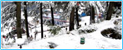 Tours to Mussoorie, Mussoorie Tours Himachal India